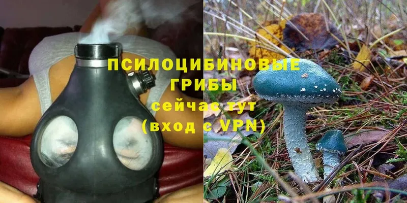 Псилоцибиновые грибы Magic Shrooms  Валуйки 